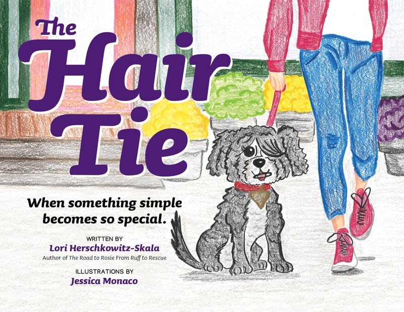 The Hair Tie book cover
